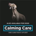 Purina Pro Plan Veterinary Supplements Calming Care Powdered Cat Calming Probiotic - 1 g Sachet (30 Pack) - Image 8