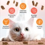 Bladder Chews for Cats UTI - Cat Urinary Tract Support with Cranberry & D-Mannose - Soft Bites for Feline Bladder & Kidney Health Prevention, Salmon - 200 Count - Image 4