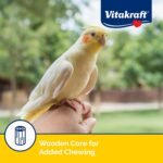 Vitakraft Cockatiel Treat Sticks - Apple and Honey - 3.5oz - Image 6