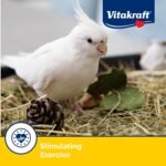 Vitakraft Cockatiel Treat Sticks - Apple and Honey - 3.5oz - Image 7