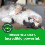 GREENIES Feline Cat Treats Adult Natural Dental Care, Catnip Flavour, 4.6oz. Pouch - Image 3