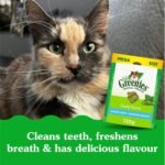 GREENIES Feline Cat Treats Adult Natural Dental Care, Catnip Flavour, 4.6oz. Pouch - Image 5