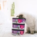 Litter Genie Jumbo Refill Bag - Multi-Layer Refill Bags w/Up to 4 Months of Supply - Compatible w/Standard, Plus, Style, & XL+ Litter Genie Pails - Image 12