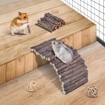 ERKOON 11 Pack Chinchillas Chew Toys, Toys Accessories for Teeth Care, Natural Apple Wood Ladder Bell Roller for Russian Hamster Gerbils Rats Guinea Pigs - Image 5