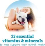 Beneful Incredibites Wet Dog Food for Small Dogs, Real Chicken & Salmon in Gravy Variety Pack - 85 g Can (24 Pack) - Image 7