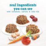 Beneful Incredibites Wet Dog Food for Small Dogs, Real Chicken & Salmon in Gravy Variety Pack - 85 g Can (24 Pack) - Image 9