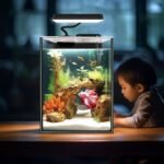 Glass Betta Aquarium Starter Kits 1.5 Gallon Small Fish Tank, Betta Fish Tank with LED Light, Power Filter, Black. 4mm Glass - Image 7