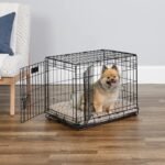 MidWest Homes for Pets Double Door iCrate 60.96cm Long Dog Crate, Includes Leak-Proof Pan, Floor Protecting Feet, Divider Panel and New Patented Features, Black, Model 1524DD - Image 3