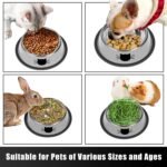 2Pcs Cat Bowls Non-Slip Stainless Steel Small Cat Food Bowls Unbreakable Thicken Cat Feeder 7 Oz Cat Dishes Suitable for Indoor Small Pets Removable Rubber Base Easily Clean Lovely Color - Image 6