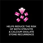 Purina Pro Plan Veterinary Diets UR StOx Savory Selects UR Urinary St/Ox Salmon Recipe in Sauce Wet Food - (24) 5.5 oz. Can - Image 9