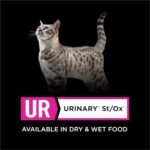 Purina Pro Plan Veterinary Diets UR StOx Savory Selects UR Urinary St/Ox Salmon Recipe in Sauce Wet Food - (24) 5.5 oz. Can - Image 11