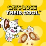 TEMPTATIONS Mix-Ups Adult Cat Treats Chicken, Catnip & Cheese Flavour, 850g Tub - Image 4