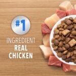 IAMS Proactive Health Healthy Enjoyment Adult Dry Cat Food – Chicken & Beef – 1.36KG (2.9LB) Bag - Image 3