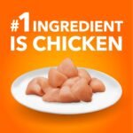 IAMS Proactive Health Healthy Enjoyment Adult Dry Cat Food – Chicken & Beef – 1.36KG (2.9LB) Bag - Image 5