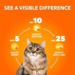 IAMS Proactive Health Healthy Enjoyment Adult Dry Cat Food – Chicken & Beef – 1.36KG (2.9LB) Bag - Image 7