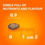 IAMS Proactive Health Healthy Enjoyment Adult Dry Cat Food – Chicken & Beef – 1.36KG (2.9LB) Bag - Image 10