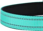 Reflective Dog Collar, Adjustable Soft Neoprene Padded Nylon Pet Collars with Buckle for Medium Dogs, Teal,M - Image 6