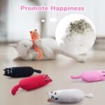 Legendog 5Pcs Catnip Toy, Cat Chew Toy Bite Resistant Catnip Toys for Cats,Catnip Filled Cartoon Mice Cat Teething Chew Toy - Image 3