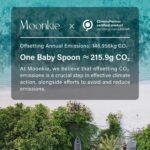 Moonkie Silicone Baby Spoons Set of 4, Two Sizes Feeding Spoon for First Stage 4+ Months, Baby Utensils with Case, Toddler Led Weaning Spoons, Bendable, Chewproof & Boil-Proof - Image 10