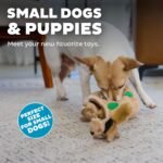 Outward Hound Squeakin' Squirrels Plush Replacement Dog Toys - 3 Pack - Image 5