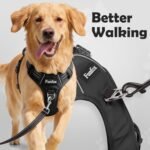 Funfox Dog Harness No Pull, Vertical Handle Easy Control with 2 Leash Clips, Adjustable Anti Pull Pet Vest Harness, Reflective Strips Night Walking Size for Small Medium Large Breed, Black M - Image 4