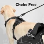 Funfox Dog Harness No Pull, Vertical Handle Easy Control with 2 Leash Clips, Adjustable Anti Pull Pet Vest Harness, Reflective Strips Night Walking Size for Small Medium Large Breed, Black M - Image 5