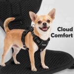 Funfox Dog Harness No Pull, Vertical Handle Easy Control with 2 Leash Clips, Adjustable Anti Pull Pet Vest Harness, Reflective Strips Night Walking Size for Small Medium Large Breed, Black M - Image 8