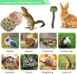 Rabbit Chew Toys, Natural Bunny Chew Toys, Hamster Chew Toys Set, Small Pets Teeth Care Molar Exercise Bunny Toys for Rabbits, Guinea Pig, Hamster and Other Small Animals (25PCS) - Image 4