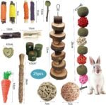 Rabbit Chew Toys, Natural Bunny Chew Toys, Hamster Chew Toys Set, Small Pets Teeth Care Molar Exercise Bunny Toys for Rabbits, Guinea Pig, Hamster and Other Small Animals (25PCS) - Image 6