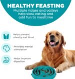 Outward Hound Fun Feeder Slo Bowl, Large Slow Feeder Dog Bowl, 4 Cups, Turquoise - Image 3