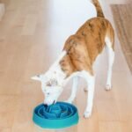 Outward Hound Fun Feeder Slo Bowl, Large Slow Feeder Dog Bowl, 4 Cups, Turquoise - Image 7