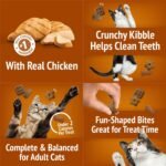 Friskies Party Mix Chicken Lovers Crunchy Cat Treats & Lil' Soups Wet Cat Food Complements, Chicken & Tuna Broth (4-Pack Variety) - Image 4