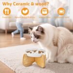 Slow Feeder Cat Bowl Raised with Stand, 16 cm Wide Elevated Ceramic Shallow Slow Eating Pet Bowl for Dry/Wet Food, Anti-Vomiting Cat Puzzle Feeder, Whisker Friendly, Dishwasher Safe (White) - Image 10