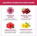 PlantVital D-Mannose Capsules - Made in Canada - 1000mg Daily Dose (2 Capsules) - Cranberry Pills for UTI Support & Bladder Health – DMannose and Cranberry Supplement - 120 Count, 2-Month Supply - Image 8