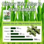 30g Cat Grass Teething Stick, Delicious Cat Treat Snack Edible Cat Chew Toy for Teeth Cleaning and Hairball Removal in Cats - Image 8