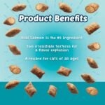 Blue Buffalo Bursts with Savory Seafood Cat Treats, 340g tub - Image 5