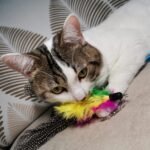 Cat Feather Toys Refills Cat Wand Replacement Feathers, 10 PCS Feather Cat Toy Refills, Cat Wand Attachments Feathers Worms for Cat Toys - Image 5