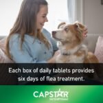 Capstar Oral Flea Treatment for Large Dogs Weighing 11 to 57 kg - 6 Pack - Image 5