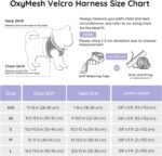 BELLA & PAL Puppy Harness with Leash Set, Dog Harness for Small Dogs No Pull, Dog Leash for Puupy, Step in Harness for Extra Small Dogs (Lavender, XS) - Image 3