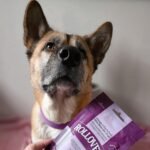 Rollover Omega 3 Enriched Mini Bites for Dogs - 100g - Image 5