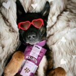 Rollover Omega 3 Enriched Mini Bites for Dogs - 100g - Image 6