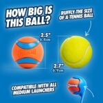 Chuckit! Ultra Ball, Medium (2.5 Inch), 2 Count - Image 5