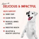 Stella & Chewy's Freeze-Dried Raw Single Ingredient Lamb Liver Treats, 85g Bag - Image 6