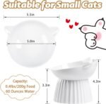 Ceramic Raised Cat Bowl，Tilted Raised Cat Bowl Anti Vomit Cat Bowls for Indoor Cats Whisker Friendly Pet Feeder for Cats Puppies, Microwave and Dishwasher Safe - Image 3