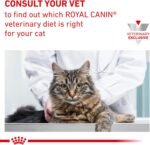 ROYAL CANIN Feline Hypoallergenic Hydrolyzed Protein Adult HP (7.7 lb) by Royal Canin - Image 12