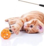 3Pcs Toys Cat Wand Three-Sections Cat Wand DIY Cat Teaser Sticks Retractable Cat Wand for Indoor Household Kitten Animals - Image 8