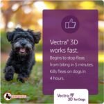 Vectra 3D Flea and Tick Treatment for Dogs Weighing 25.1-43 kg (55.2-94.6 lbs) - Tick and Flea Prevention for Dogs That Repels Mosquitoes and More with Easy Monthly Application (3 Pack) - Image 5