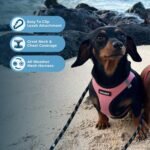 Best Pet Supplies Voyager All Weather No Pull Step-in Mesh Dog Harness with Padded Vest, Best Pet Supplies, Extra Small, Pink Base - Image 6