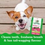 Greenies Smartbites Dog Treats Immune Support, Chicken Flavour, 794g Pouch - Image 6