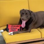 Outward Hound FireHose Fetch Dog Toy, Medium - Image 7